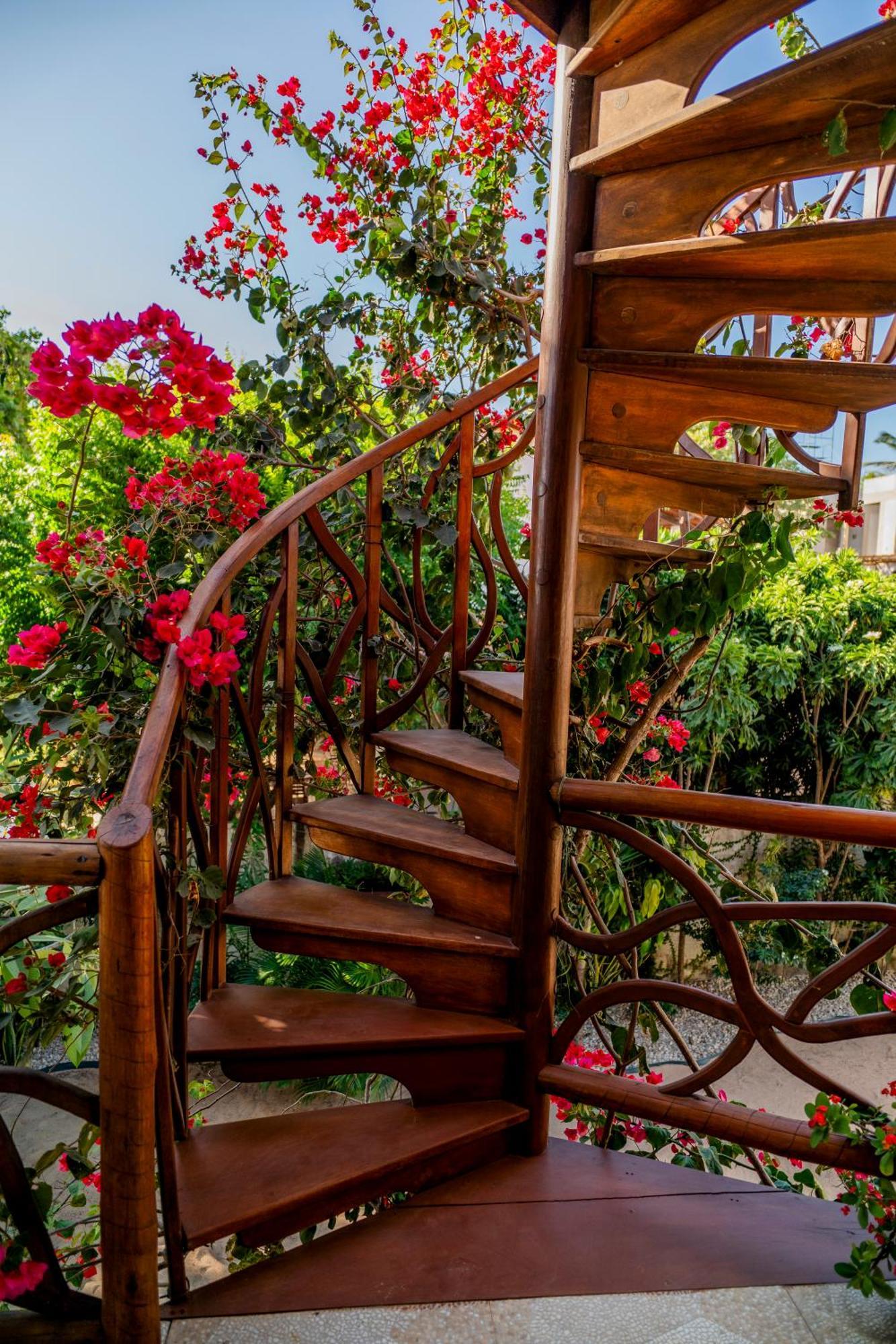 Swiss Garten Jeri Жижока-ди-Жерикуакуара Экстерьер фото